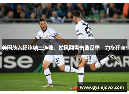 美因茨客场终结三连败，逆风翻盘击败汉堡，力挽狂澜！