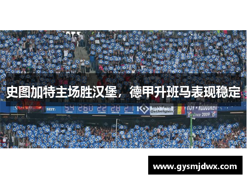 史图加特主场胜汉堡，德甲升班马表现稳定