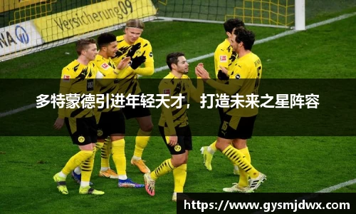 YY体育