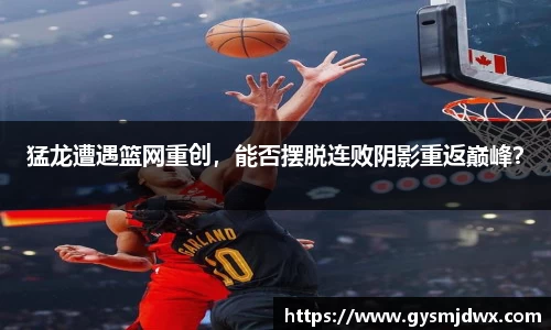米乐m6