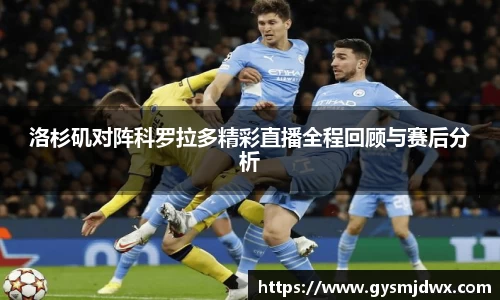 洛杉矶对阵科罗拉多精彩直播全程回顾与赛后分析