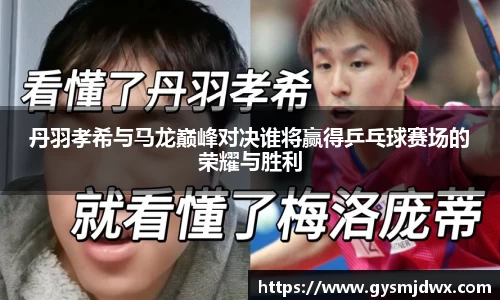 YY体育