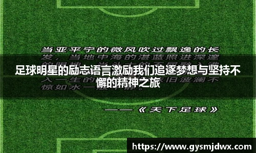 米乐m6