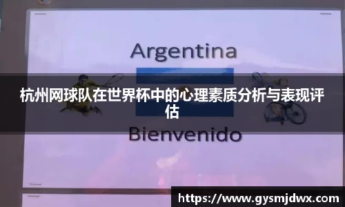 杭州网球队在世界杯中的心理素质分析与表现评估